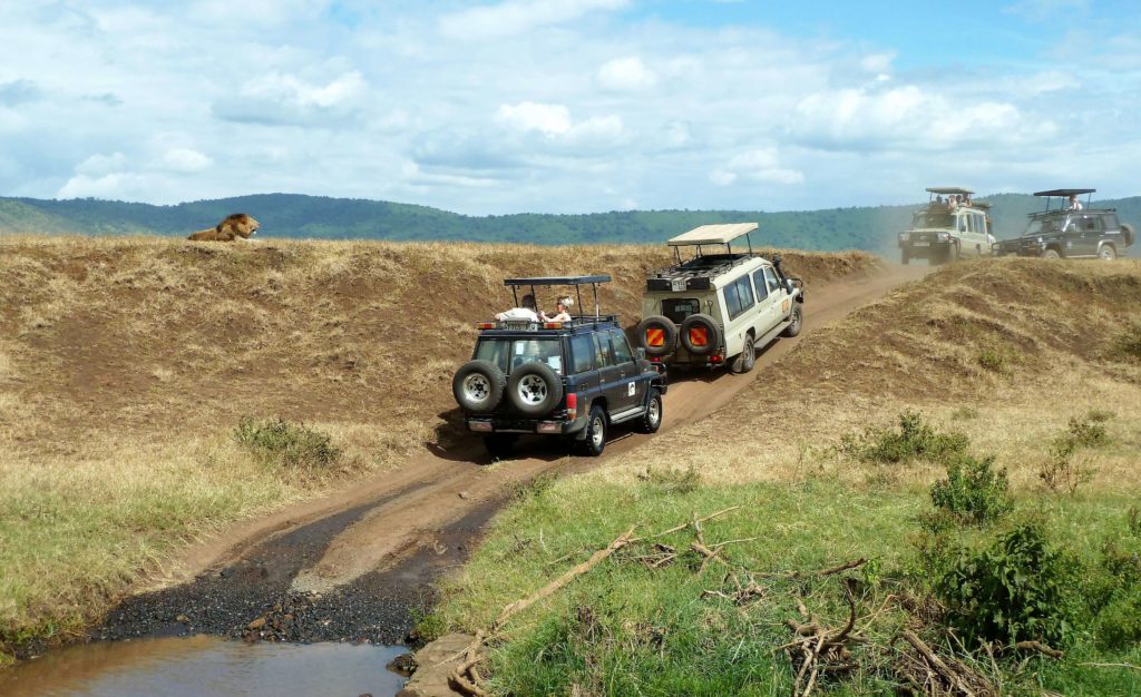 Tanzania National Parks