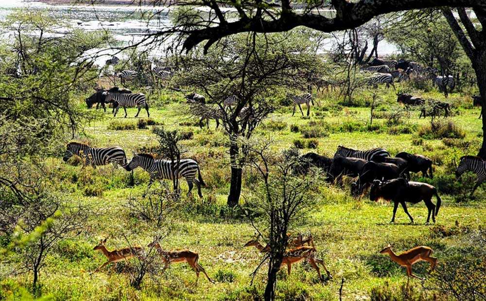 Katavi National Park