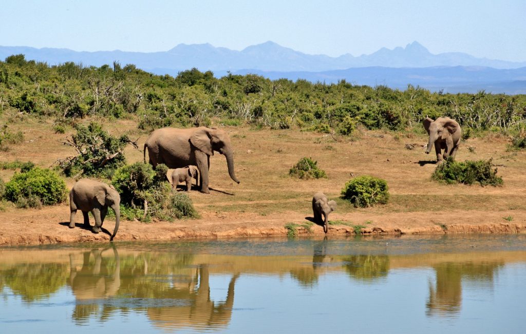 safari in Kenya holidays - Marsabit National Park and Reserve