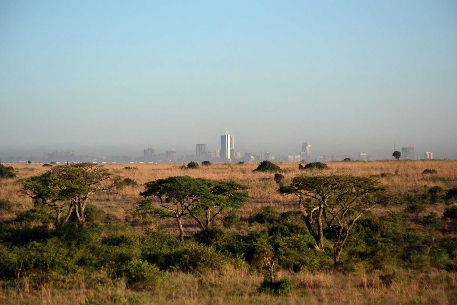 Kenya's National Parks - Nairobi NationalPark