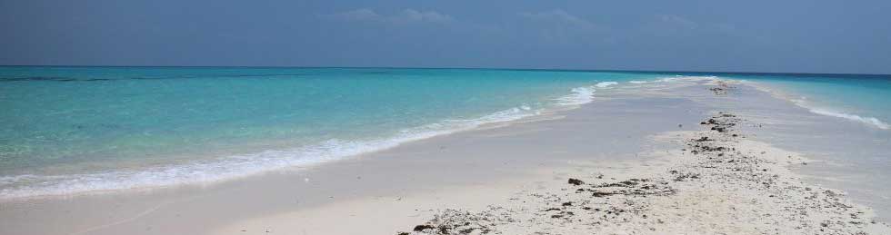 Zanzibar tour zanzibar travel guide beach