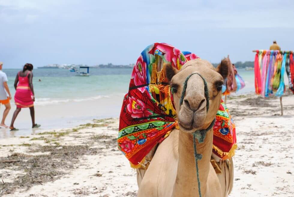 Things to do in Mombasa