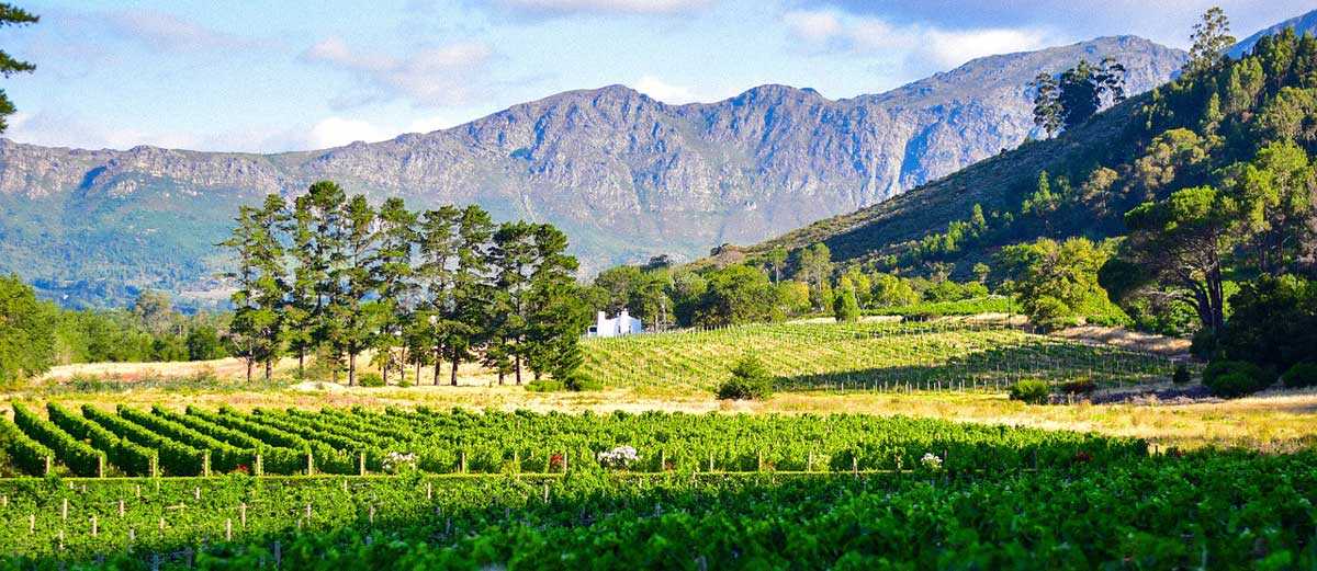 Winelands Tours South Africa