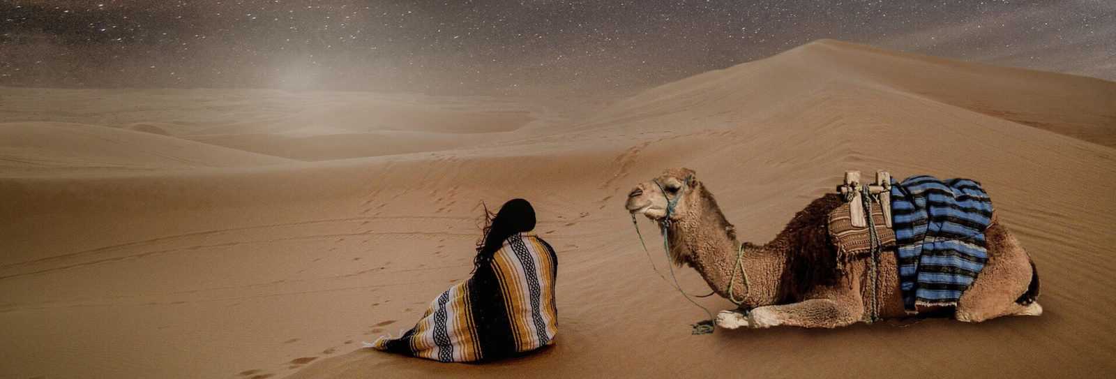 Marrakech Camel Riding Tours Desert Stars