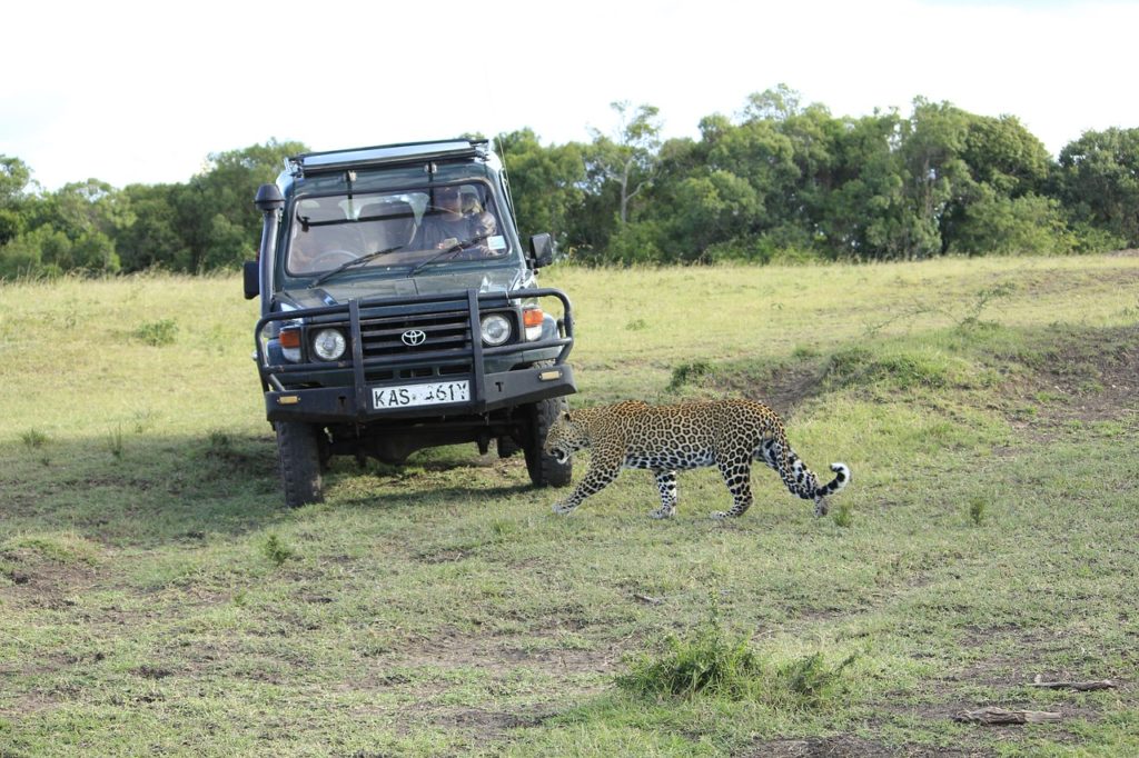 masai-mara-safari_landrover_jeep