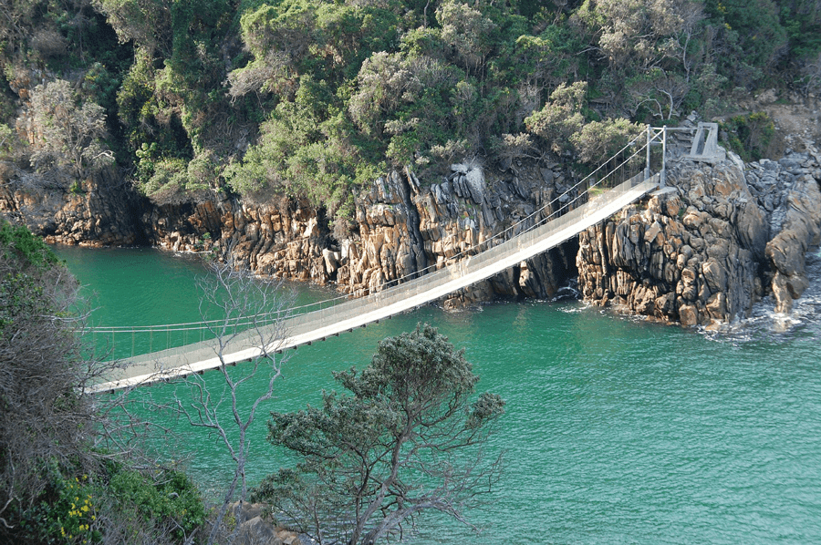 Pont suspendu du parc national de Tsitsikamma