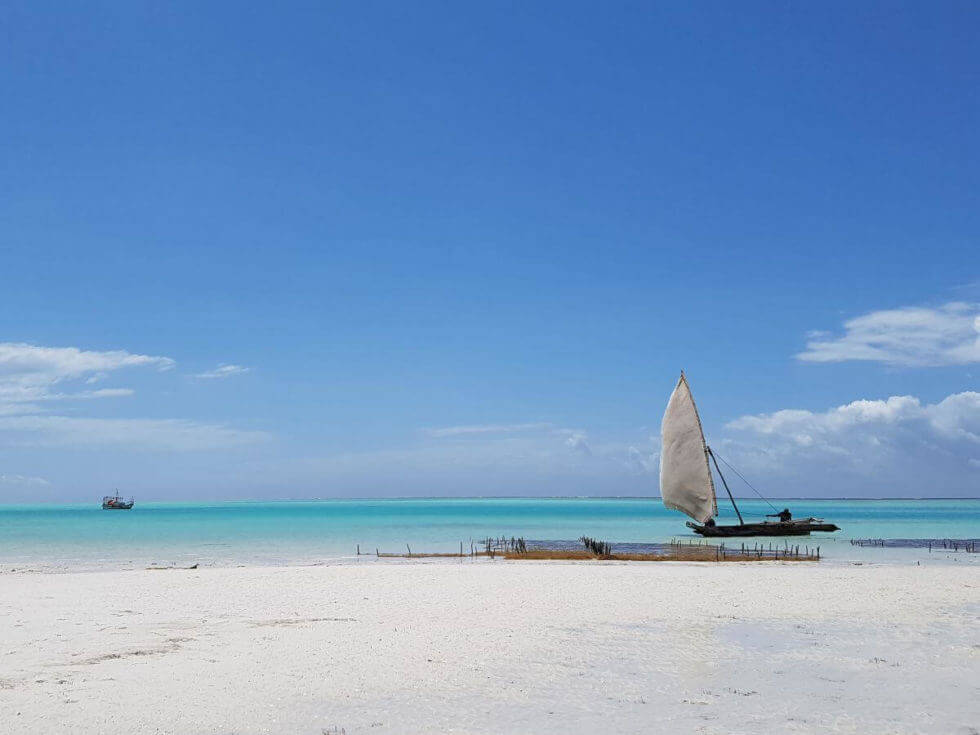 Zanzibar Honeymoon Dhau