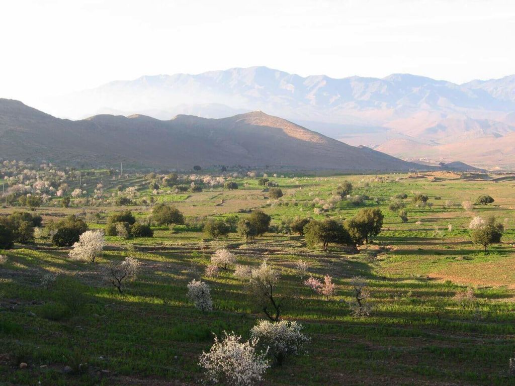 Atlas Mountains Trekking