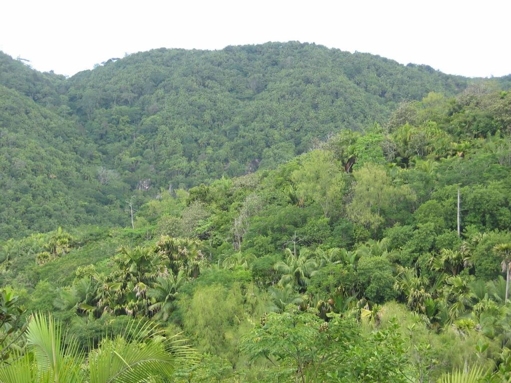 Parc national des vacances aux Seychelles