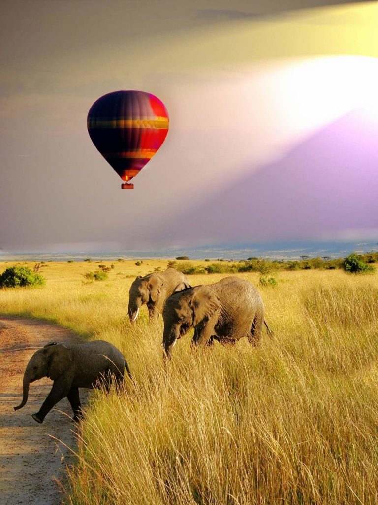 African Safari Tours Balloon