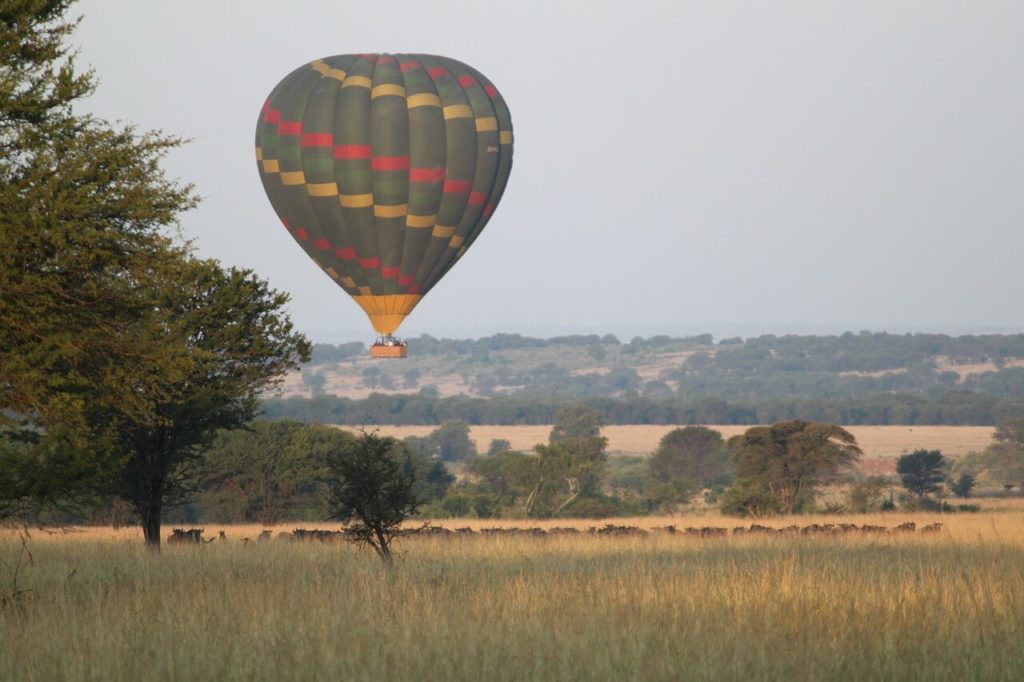 Balloon safari
