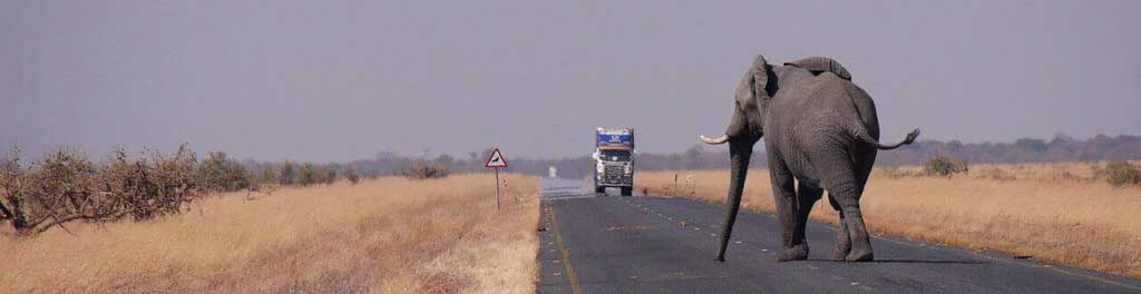  Maeneo Bora ya Likizo nchini Botswana Usafiri wa Treni na Mabasi