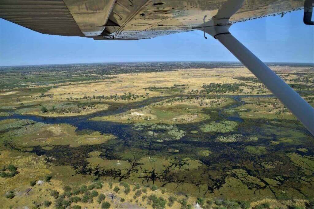  Best Holiday Destinations in Botswana Okavango Delta