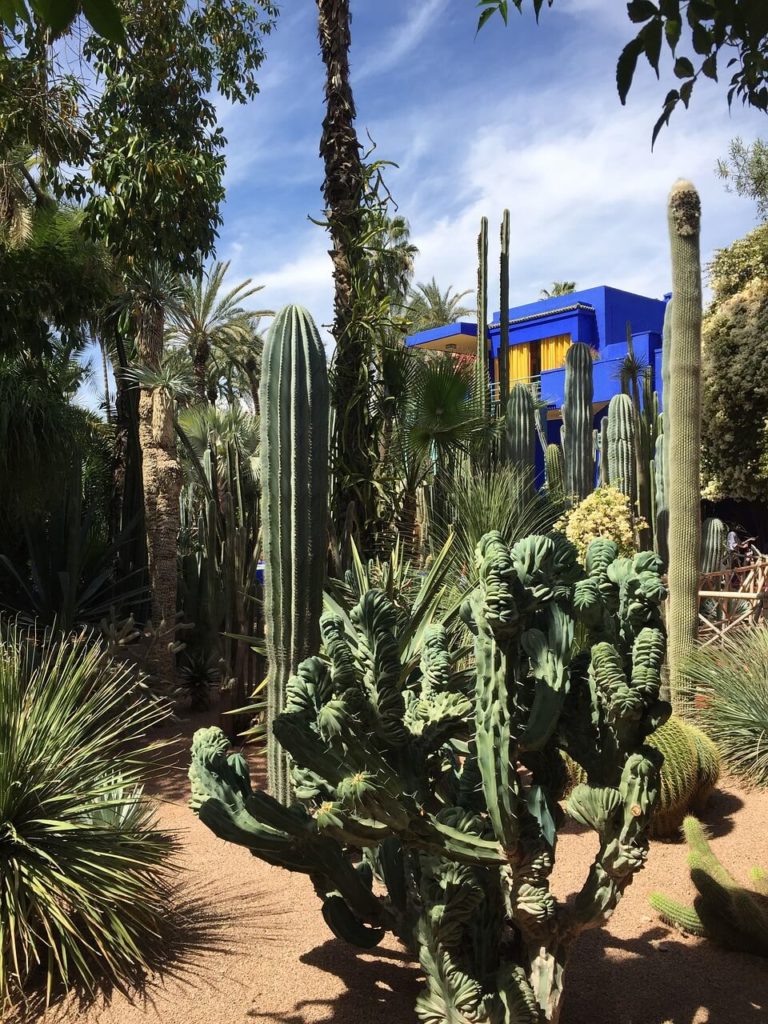 Marrakech Holidays Jardin Majorelle