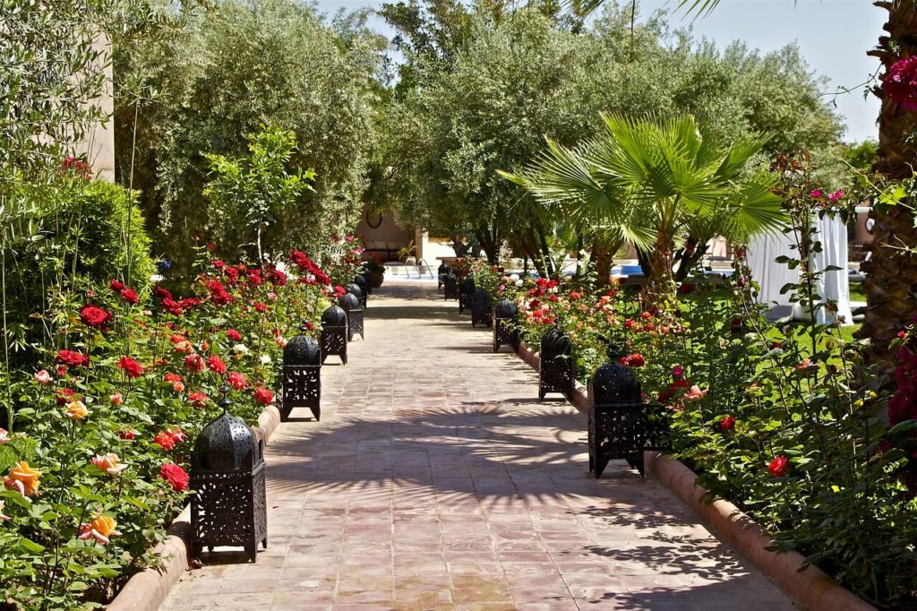 Marrakech Path