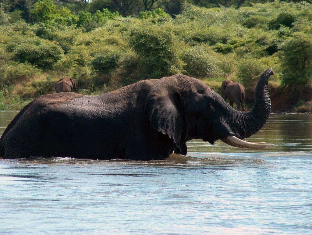 Holiday destinations in Zimbabwe - Zambezi National Park