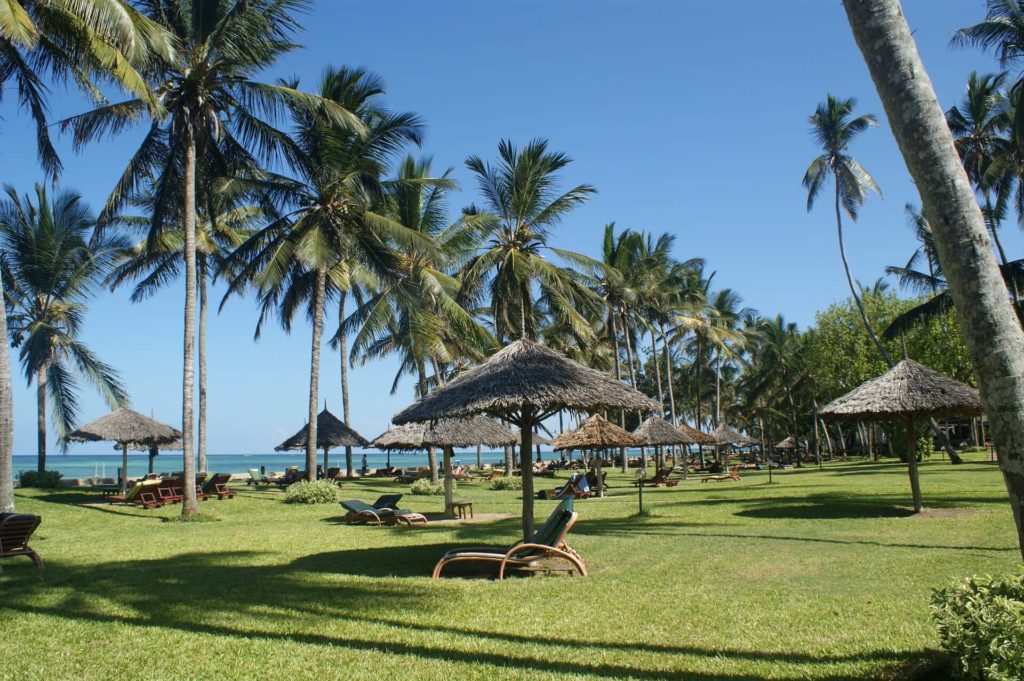 Kenya Safari Tours