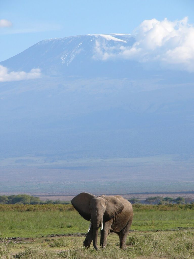 Tanzania Safari Holidays Kilimanjaro National Park