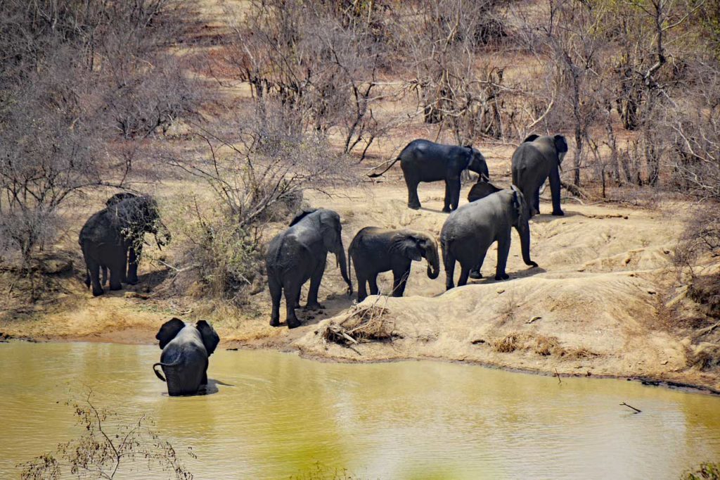 Parc national de la taupe