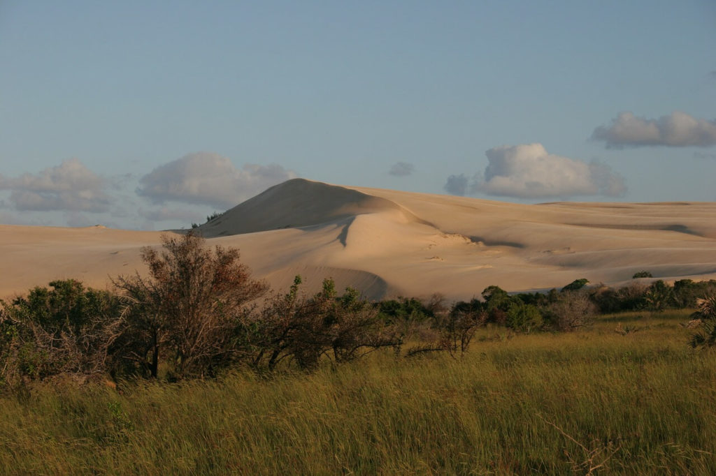 Dunes de sable au Mozambique