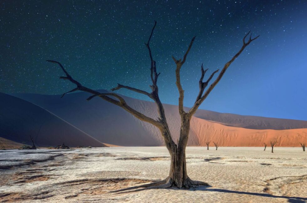 Safari to Namibia & Tips for Your Trip to Namibia - Namib