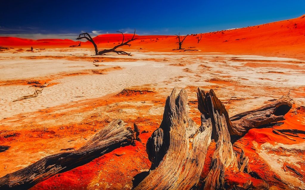 Natural Attractions in Namibia