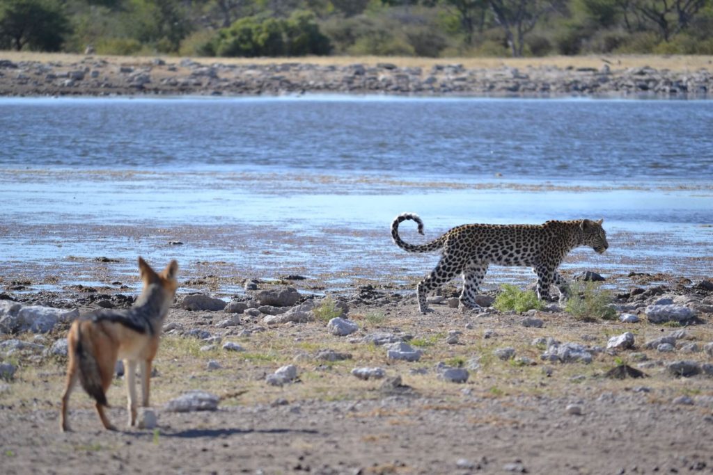 Parc national de Mudumu