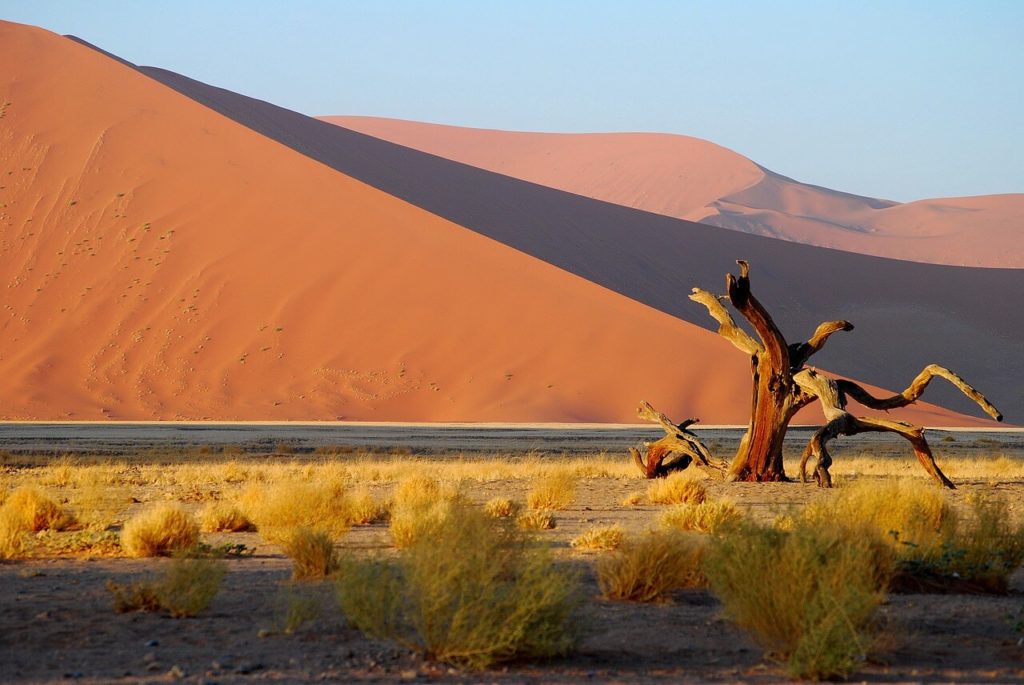 Guide de safari et de vacances en Namibie Parc national de Namib-Naukluft