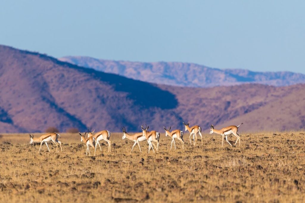 Khaeb National Park