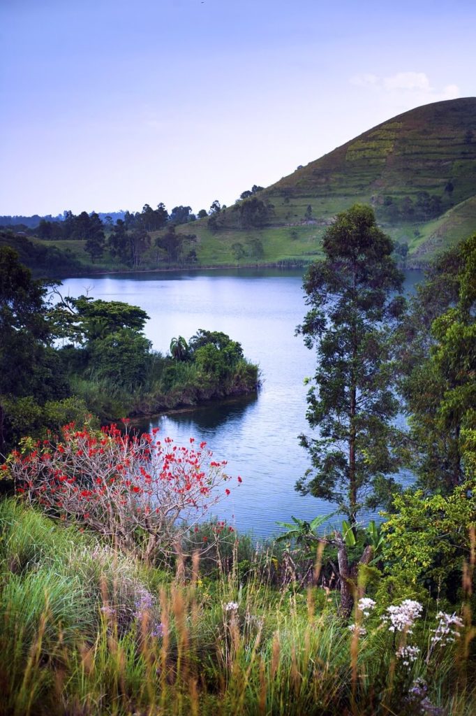 Best Times to Visit Uganda