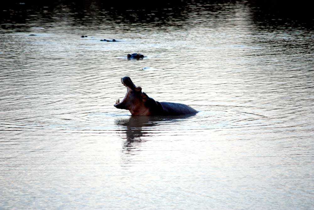 Lac Kariba - Zambie Safari & Vacances