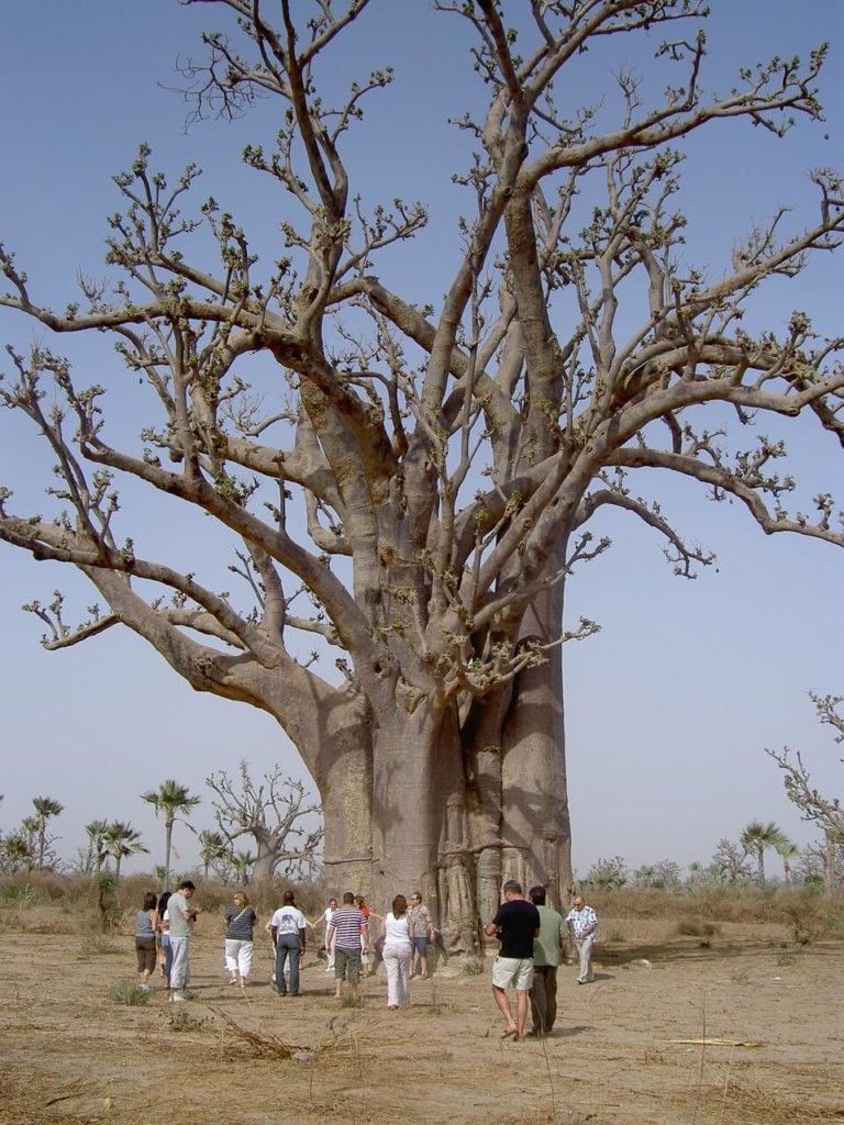 Guide de voyage et de vacances au Sénégal