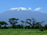 Mount Kilimanjaro- hiking & trekking tours in Africa
