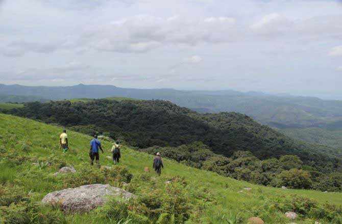 The Ngel Nyaki Forest Reserve