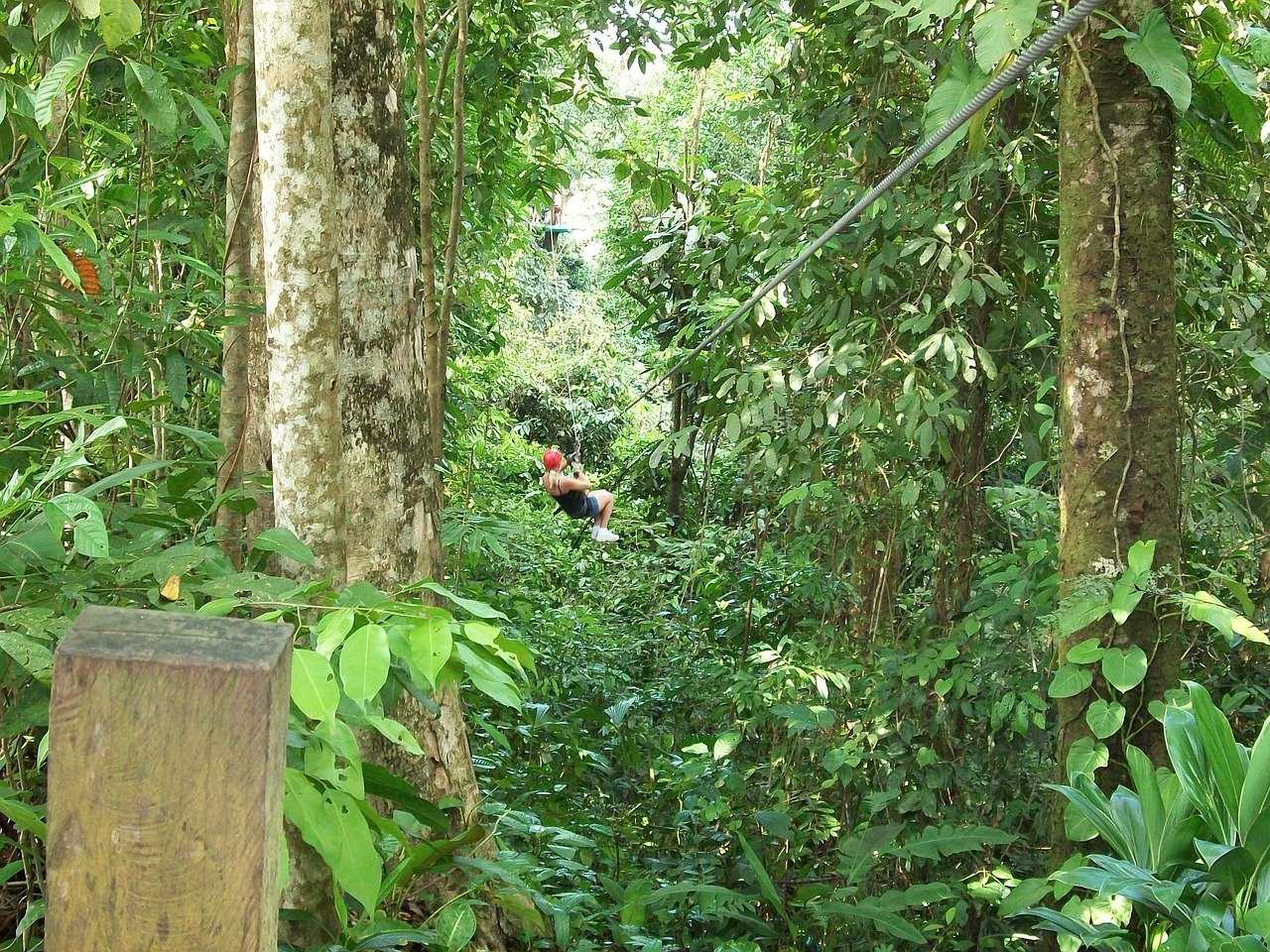 Zipline across the Elgin Valley