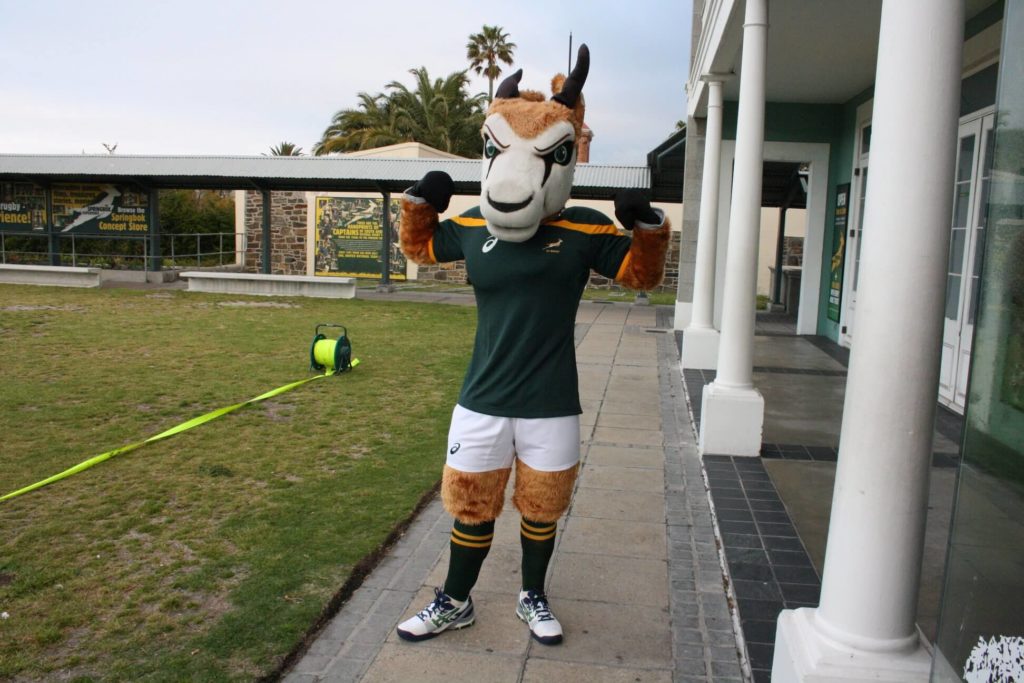 Springbok Experience - Things to do in Cape Town for kids
