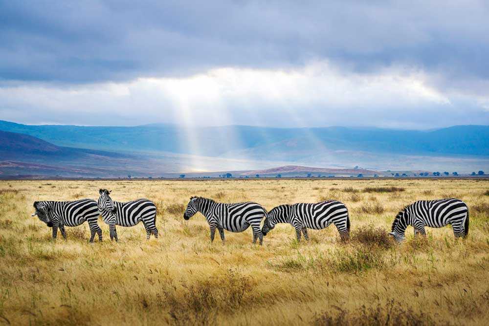 Ngorongoro Conservation Area, Tanzania - most beautiful places in Africa to visit and vacation