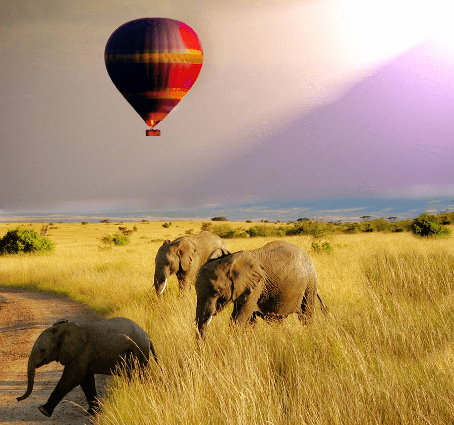 Holidays in Africa, Serengeti National Park