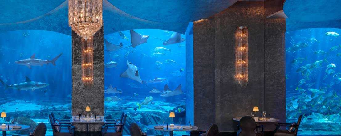 20 Best Restaurants In Dubai - Top Places To Eat - Tiketi Blog - Travel ...