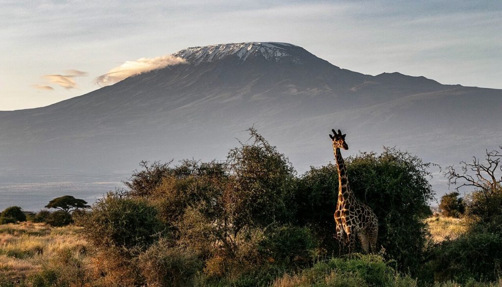 Mount Kilimanjaro - best places for hiking and trekking in Tanzania