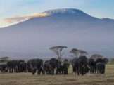 Mount Kilimanjaro -