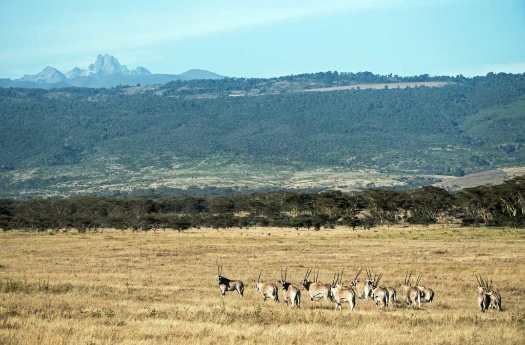 Hiking and trekking in Kenya