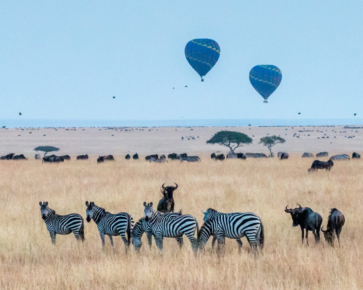 Masai Mara