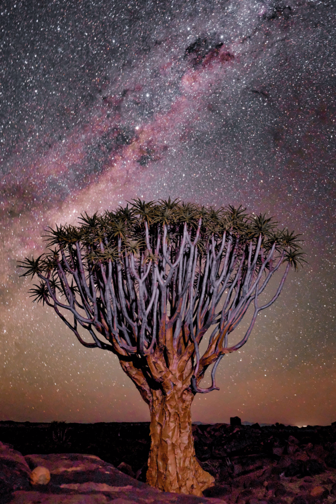 Safari hadi Namibia - Namib