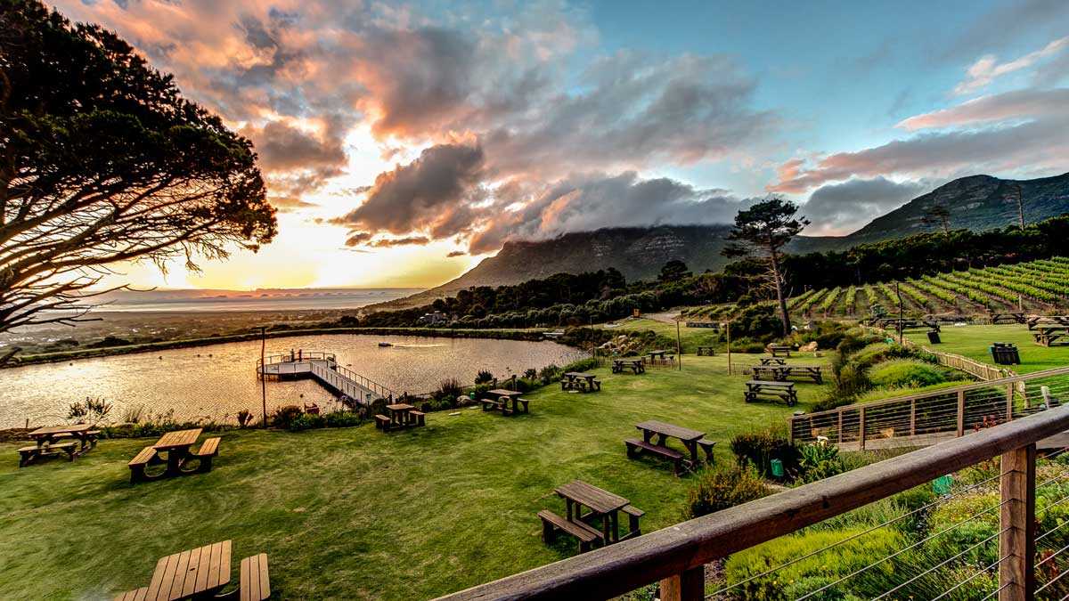 Cape Point Vineyards night market