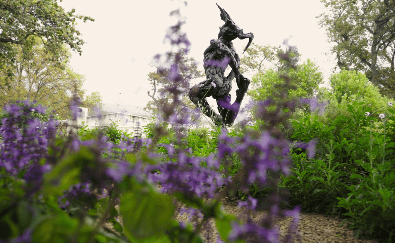 Dylan Lewis Sculpture Garden in Stellenbosch