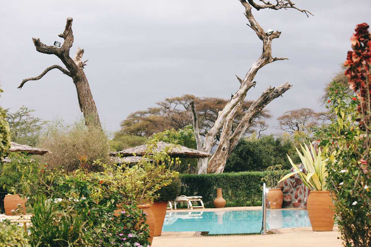 Meilleures destinations de vacances au Kenya - Parc national Amboseli