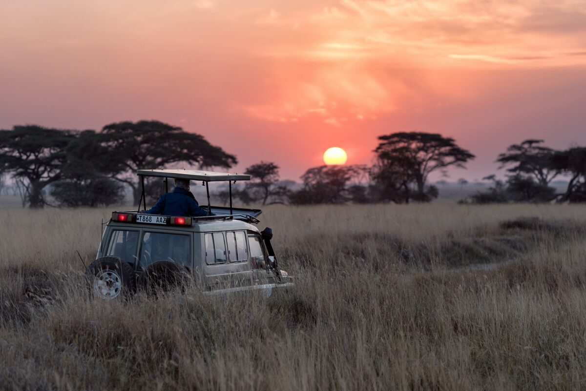 Safari Destination Serengeti National Park Sunrise
