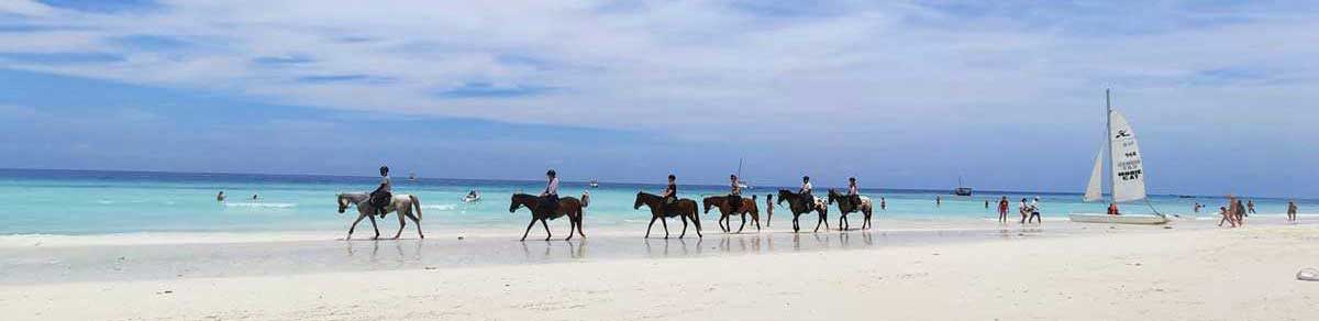 Holiday Destinations in Zanzibar - Beach horse riding