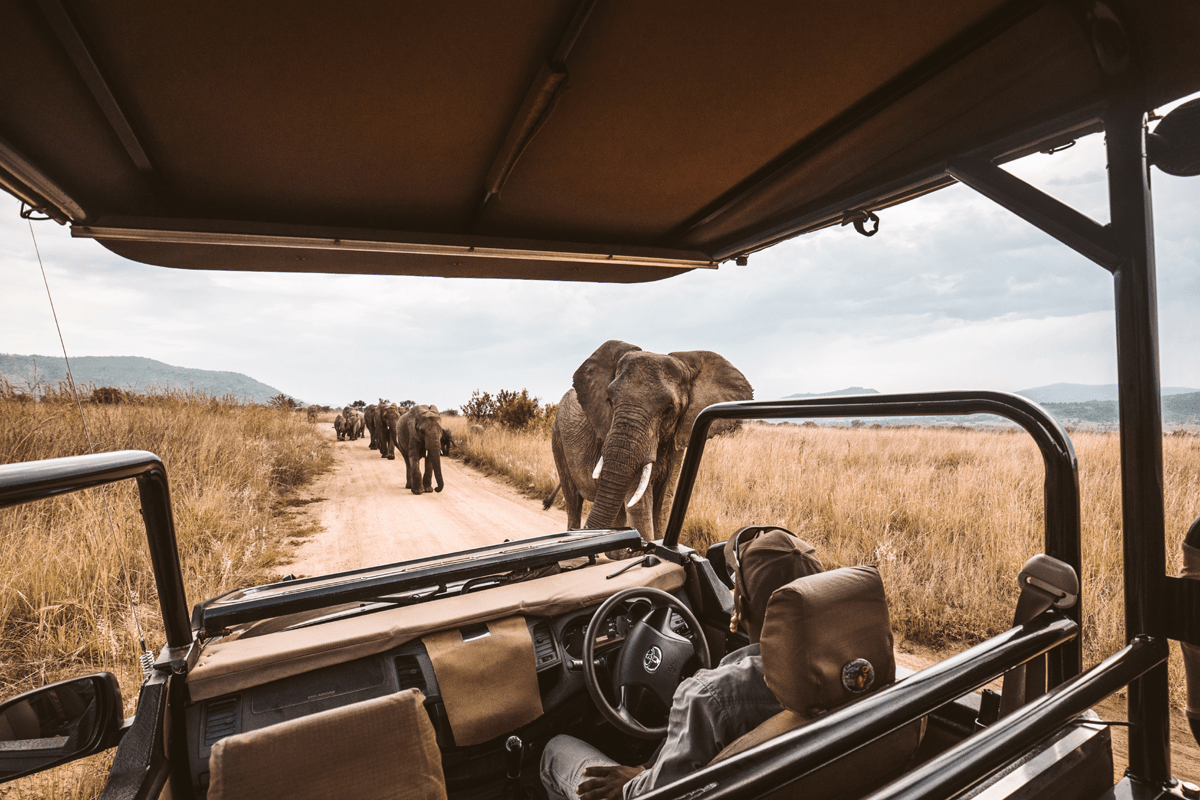 Planning a South safari in Africa